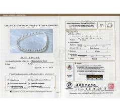 7.5-8mm Японска акоя Колие in Ханадама 18 инча Бяло