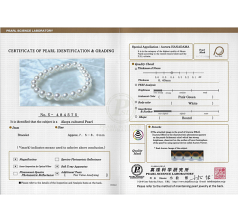 7.5-8mm Японска акоя Гривна in Ханадама 7 инча Бяло