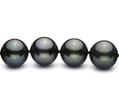 10.9-13.8mm таитянски Колие in черен