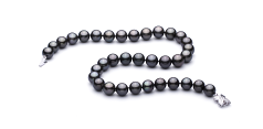 11.1-11.9mm таитянски Колие in черен