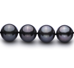 11.1-11.9mm таитянски Колие in черен