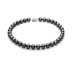11.1-13.8mm таитянски Колие in черен