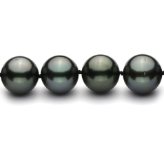 11.1-13.8mm таитянски Колие in черен
