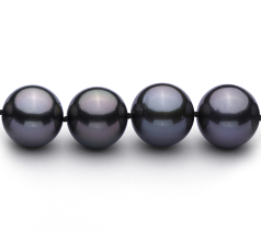 12-13.1mm таитянски Колие in черен
