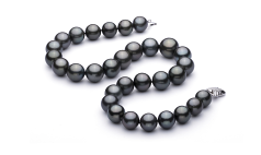 13.1-16mm таитянски Колие in черен