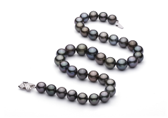 11.1-13.5mm таитянски Колие in Многоцветен