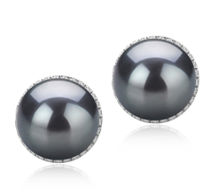 10-11mm таитянски Комплект обеци in Тами черен