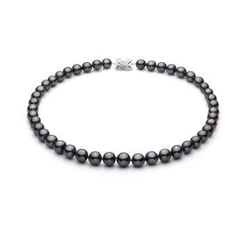 9.1-11mm таитянски Колие in черен 9.1-11mm таитянски Колие in черен